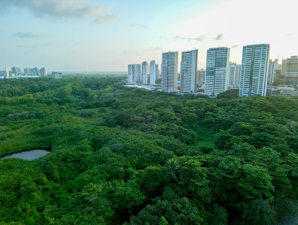 Découvrez l'art des conversations intimes avec téléphone rose